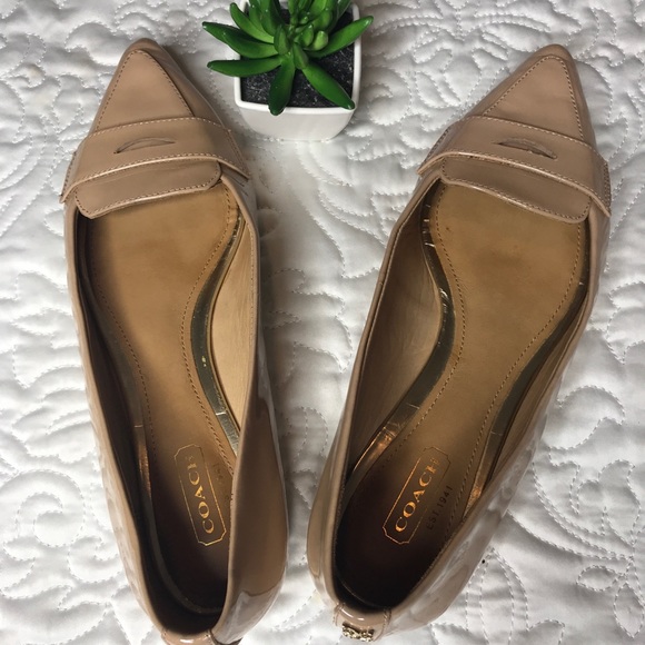 COACH tabitha pointy toe Flats - Picture 5 of 7